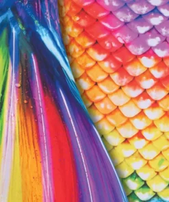 Hot Fin Fun havfruehale til børn - Sæt - Rainbow Reef